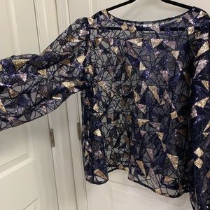 Jibri Sequin Sheer Balloon Sleeved Shirt